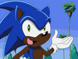 Size: 640x480 | Tagged: safe, editor:blackeditsgalore, sonic the hedgehog, 2023, black edit, dark skin, edit, edited screencap, looking at viewer, palm tree, solo, sonic x, tree