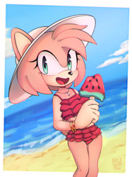 Size: 1280x1710 | Tagged: safe, artist:iikuto, amy rose, 2019, beach, beach outfit, bikini, border, bracelet, clouds, daytime, gloves off, hat, holding something, ice cream, looking at viewer, mouth open, necklace, ocean, open smile, outdoors, smile, smiling at viewer, solo, standing, sun hat, water, watermelon