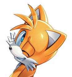 Size: 1252x1345 | Tagged: safe, artist:thatbirdguy_, miles "tails" prower, 2025, looking back, looking back at viewer, simple background, smile, smiling at viewer, solo, white background, wink, winking at viewer