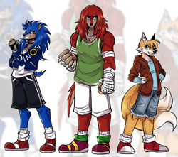 Size: 1056x934 | Tagged: safe, artist:infamouzsky, knuckles the echidna, miles "tails" prower, sonic the hedgehog, clothes, echo background, trio, whiskers