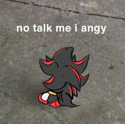 Size: 767x763 | Tagged: safe, artist:justrandomart, shadow the hedgehog, 2025, dialogue, english text, flat colors, intentional typo, meme, photographic background, redraw, sitting, solo, text, typo