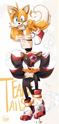Size: 981x2048 | Tagged: safe, artist:demn_nath, miles "tails" prower, shadow the hedgehog, 2025, bandage, blood, carrying them, cheek fluff, clenched teeth, duo, dust clouds, flying, frown, holding hands, holding them, injured, looking at viewer, mid-air, signature, simple background, smile, spinning tails, white background, wound