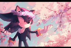 Size: 2048x1404 | Tagged: safe, artist:atomicbell, shadow the hedgehog, 2024, abstract background, cherry blossom petals, cherry blossom tree, daytime, flower, flower crown, frown, hand out, looking offscreen, outdoors, sakura blossoms, solo, spring, standing