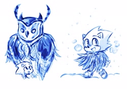 Size: 2048x1443 | Tagged: safe, artist:chuelectrico20, longclaw, sonic the hedgehog, bird, hedgehog, owl, sonic the hedgehog (2020), 2025, aged down, baby sonic, child, cute, duo, feather, monochrome, mother and child, mother and son, poncho, simple background, smile, snow, sonabetes, standing, white background, wholesome, younger