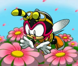 Size: 720x607 | Tagged: artist needed, safe, charmy bee, bee, charmabetes, cute, flower, flying, happy, male, solo