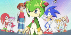 Size: 1334x658 | Tagged: safe, amy rose, cheese (chao), chris thorndyke, cosmo the seedrian, cream the rabbit, knuckles the echidna, miles "tails" prower, sonic the hedgehog, chao, echidna, fox, hedgehog, human, rabbit, seedrian, female, male, screencap, sonic x