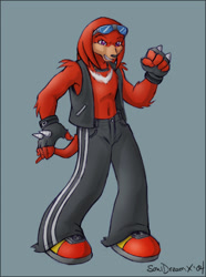Size: 447x600 | Tagged: safe, artist:souldreamx, knuckles the echidna