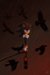 Size: 2400x3600 | Tagged: safe, artist:shadowreaper12, shadow the hedgehog, bird, hedgehog, 2025, absurd res, arms folded, crow, flying, gradient background, group, literal animal, mid-air, signature, solo focus, standing, traffic light