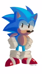 Size: 1080x1964 | Tagged: safe, artist:zian728, sonic the hedgehog, hedgehog, 2020, hands on hips, lineless, looking at viewer, male, no mouth, signature, simple background, solo, solo male, white background