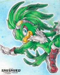 Size: 852x1068 | Tagged: safe, artist:pichu-chan, jet the hawk, bird, 2011, gradient background, mid-air, outline, signature, smile, smiling at viewer, solo