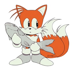Size: 1112x1071 | Tagged: safe, artist:fazlozx, miles "tails" prower, 2025, :o, classic sonic, cute, fish, grey shoes, holding something, literal animal, mouth open, signature, simple background, solo, standing, tailabetes, white background