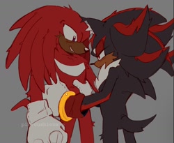 Size: 1438x1178 | Tagged: safe, artist:pincushionx, knuckles the echidna, shadow the hedgehog, 2026, blushing, dark skin, duo, eyelashes, flat colors, frown, gay, grey background, knuxadow, looking at each other, shipping, simple background, smile, standing