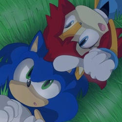 Size: 736x736 | Tagged: safe, artist:kiipuonranningu, sally acorn, sonic the hedgehog, chipmunk, hedgehog, deactivated tumblr account, duo, female, looking at something, lying down, male, nighttime, pointing, sally x sonic, sally's ringblader outfit, shipping, straight