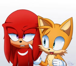 Size: 935x806 | Tagged: safe, artist:ferliane, knuckles the echidna, miles "tails" prower, sonic the hedgehog 2 (2022), 2022, clenched fist, clenched teeth, duo, frown, knuckles is not amused, lidded eyes, looking at them, male, mouth open, poking, simple background, smile, standing, unamused, white background