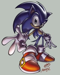Size: 792x1000 | Tagged: safe, artist:thechamba, artist:thekidkaos, sonic the hedgehog, hedgehog, 2005, collaboration, grey background, reaching out, reaching towards the viewer, signature, simple background, smile, smiling at viewer, solo, standing