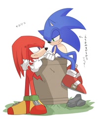 Size: 1176x1478 | Tagged: safe, artist:surawa_ww, knuckles the echidna, sonic the hedgehog, 2025, arms folded, duo, finger under chin, gay, grass, hand on another's chin, japanese text, knuxonic, lidded eyes, looking at each other, looking at them, shipping, simple background, sitting, smile, standing, white background
