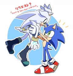 Size: 1912x1990 | Tagged: safe, artist:oudooooon427, silver the hedgehog, sonic the hedgehog, hedgehog, 2025, duo, holding them, japanese text, looking at each other, looking at them, male, mouth open, simple background, smile, standing, white background
