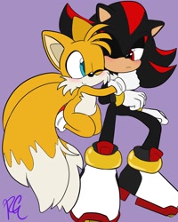 Size: 1080x1350 | Tagged: safe, artist:riri_galpal, miles "tails" prower, shadow the hedgehog, 2024, age difference, blushing, duo, flat colors, frown, gay, hugging, kneeling, looking at each other, one eye closed, purple background, shadow x tails, shipping, signature, simple background, sitting, smile