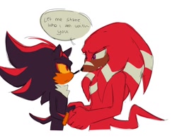 Size: 1330x1039 | Tagged: safe, artist:funnybonesfunny, knuckles the echidna, shadow the hedgehog, 2025, alternate universe, au:dr. prower, duo, english text, gay, holding hands, knuxadow, looking at each other, looking at them, mouth open, shipping, simple background, speech bubble, white background, yellow sclera