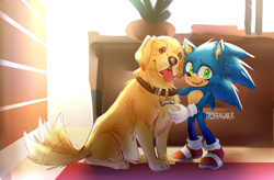 Size: 2625x1725 | Tagged: safe, artist:kingofhighlands, ozzy the dog, sonic the hedgehog, dog, hedgehog, sonic the hedgehog (2020), 2019, abstract background, absurd res, collar, couch, duo, holding them, indoors, literal animal, looking at viewer, male, sitting, smile, standing, tongue out, wagging tail