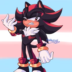 Size: 1280x1280 | Tagged: safe, artist:sumpthinphishy, shadow the hedgehog, hedgehog, 2025, frown, lidded eyes, looking at viewer, male, pride, pride flag background, scar, signature, solo, standing, top surgery scars, trans boy shadow, trans male, trans pride, transgender