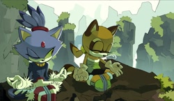 Size: 2048x1200 | Tagged: safe, artist:rocketrrush, blaze the cat, marine the raccoon, cat, raccoon, 2026, abstract background, daytime, duo, eyes closed, female, frown, legs crossed, meditation, mountain, one eye closed, outdoors, sitting, sleep bubble, sleeping