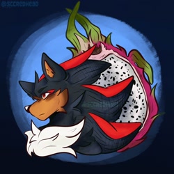 Size: 2048x2048 | Tagged: safe, artist:sccredhead, shadow the hedgehog, hedgehog, 2026, cheek fluff, chest fluff, dragonfruit, food, frown, fruit, looking offscreen, male, signature, solo