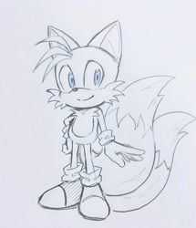 Size: 1764x2048 | Tagged: safe, artist:ntna7xa, miles "tails" prower, 2026, grey background, hand on hip, line art, looking at viewer, male, monochrome, simple background, smile, smiling at viewer, solo, spot color, standing