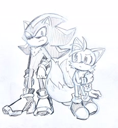 Size: 1894x2048 | Tagged: safe, artist:ntna7xa, miles "tails" prower, shadow the hedgehog, fox, hedgehog, 2025, duo, frown, grey background, line art, looking at viewer, looking offscreen, male, monochrome, simple background, standing