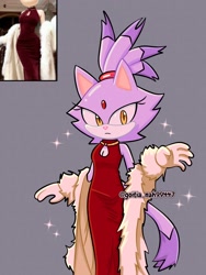 Size: 1536x2048 | Tagged: safe, artist:goitia_nah99447, blaze the cat, cat