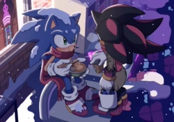 Size: 2133x1492 | Tagged: safe, artist:tamjeong_sonic, shadow the hedgehog, sonic the hedgehog, 2025, bowl, chopsticks, coffee, cup, duo, eating, food, holding something, looking at them, outdoors, scarf, sitting, snow, standing, winter