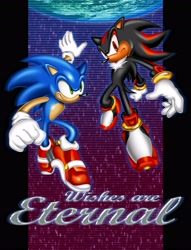 Size: 3133x4096 | Tagged: safe, artist:biolizard02, shadow the hedgehog, sonic the hedgehog, sonic adventure 2, 2025, duo, earth, english text, grin, planet, smile, soap shoes