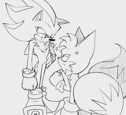 Size: 973x887 | Tagged: safe, artist:proproship, miles "tails" prower, shadow the hedgehog, 2025, angry, cross popping vein, duo, frown, gay, grey background, hand on hip, line art, looking at each other, monochrome, shadow x tails, shipping, simple background, smile, standing