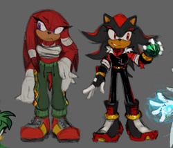 Size: 1119x958 | Tagged: safe, artist:eighttalestale, knuckles the echidna, shadow the hedgehog, echidna, hedgehog, 2025, arm fluff, boots, chaos emerald, clothes, duo, duo female, female, females only, frown, fully clothed, gender swap, grey background, holding something, jacket, looking offscreen, pants, simple background, smile, standing