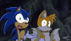 Size: 736x426 | Tagged: safe, artist:meggie-meg, miles "tails" prower, sonic the hedgehog, fox, hedgehog, sonic x, 2015, confused, duo, duo male, fake screenshot, frown, looking at viewer, male, males only, mouth open, nighttime, outdoors, shrunken pupils, signature, sonic x style, standing, sweatdrop, talking, unamused