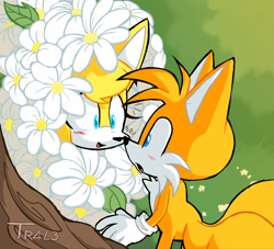 Size: 2048x1862 | Tagged: safe, artist:tr4le, miles "tails" prower, zooey the fox, fox, 2025, blushing, cute, duo, female, flower, grass, looking at each other, male, mouth open, nose boop, noses are touching, outdoors, shipping, signature, smile, standing, straight, tailsey, tree