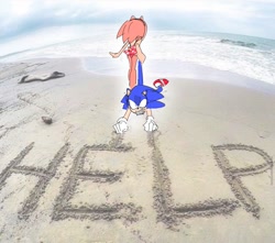 Size: 961x848 | Tagged: safe, artist:guitar_00000001, amy rose, sonic the hedgehog, 2025, beach, daytime, dragging them, duo, english text, hand on another's leg, outdoors, photographic background, standing, swimsuit, walking, water