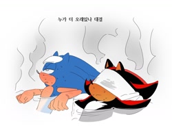 Size: 1423x1079 | Tagged: safe, artist:guitar_00000001, shadow the hedgehog, sonic the hedgehog, 2025, blushing, duo, hot springs, korean text, simple background, sweat, towel, water, white background