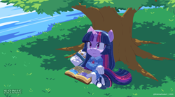 Size: 2160x1205 | Tagged: safe, artist:kanayanga, mobianified, my little pony, twilight sparkle