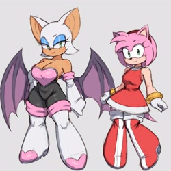 Size: 4000x4000 | Tagged: safe, artist:simmsy, amy rose, rouge the bat, cleavage, duo, female, grey background, looking at viewer, simple background, smile