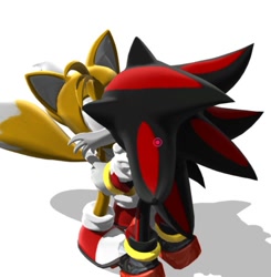 Size: 698x712 | Tagged: safe, artist:neosomlas, miles "tails" prower, shadow the hedgehog, fox, hedgehog, 2026, 3d, duo, gay, holding each other, hugging, kiss, male, mmd, shadow x tails, shipping, simple background, standing, white background