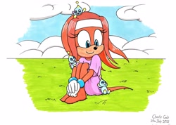 Size: 3476x2478 | Tagged: safe, artist:killerteddybear94, tikal, chao, redraw
