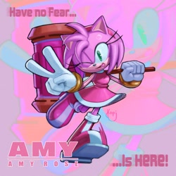 Size: 2048x2048 | Tagged: safe, artist:kopikup, amy rose, hedgehog, 2026, character name, echo background, english text, eyelashes, female, holding something, mouth open, open smile, piko piko hammer, signature, smile, solo, standing, standing on one leg, text, treads, v sign, weapon, wink