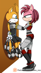 Size: 1104x1937 | Tagged: safe, artist:drake-rex, amy rose, miles "tails" prower, nine, rusty rose, fox, hedgehog, sonic prime, 2022, against wall, amy x tails, cyborg, duo, female, frown, height difference, holding them, lidded eyes, looking at each other, male, nine x rusty rose, patreon, pinning them, robot, rusty rose x tails, shipping, side view, smile, standing, straight