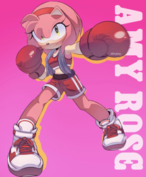 Size: 1440x1744 | Tagged: safe, artist:steffy_bs, amy rose, alternate outfit, alternate shoes, boxing, boxing gloves, female, punching, solo, towel