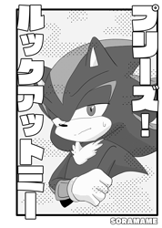 Size: 2122x2976 | Tagged: safe, artist:soramame447, shadow the hedgehog, hedgehog, greyscale, japanese text, lidded eyes, looking at viewer, male, monochrome, solo