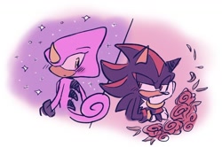Size: 1288x853 | Tagged: safe, artist:aleespace-art, espio the chameleon, shadow the hedgehog, 2026, blushing, duo, flower, gay, rose, shadpio, shipping, simple background, sparkles, valentine's day, white background