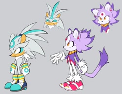 Size: 1233x954 | Tagged: safe, artist:8xenon8, artist:shadails, silver the hedgehog, 2019, alternate hairstyle, alternate outfit, duo, eyelashes, flat colors, frown, fur markings, grey background, ponytail, redesign, simple background, standing