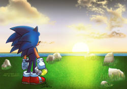 Size: 1280x902 | Tagged: safe, artist:tom carter, sonic the hedgehog, hedgehog, 2025, grass, holding something, looking at nature, male, ocean, rock, solo, standing, sun, sunset, water