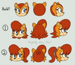 Size: 870x760 | Tagged: safe, artist:torykitty, sally acorn, chipmunk, 2025, female, head only, ponytail, redesign, simple background, solo